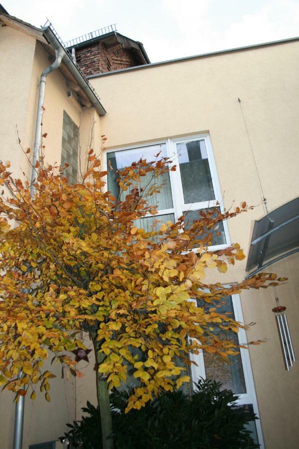 Apartpeterstor Montabaur Esterno foto